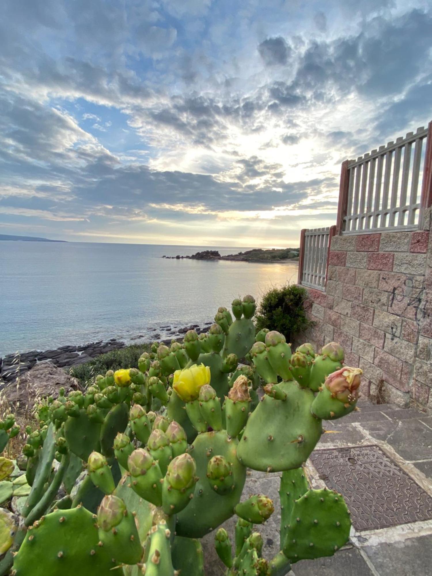 Juniper Bay Bed and Breakfast Portoscuso Εξωτερικό φωτογραφία